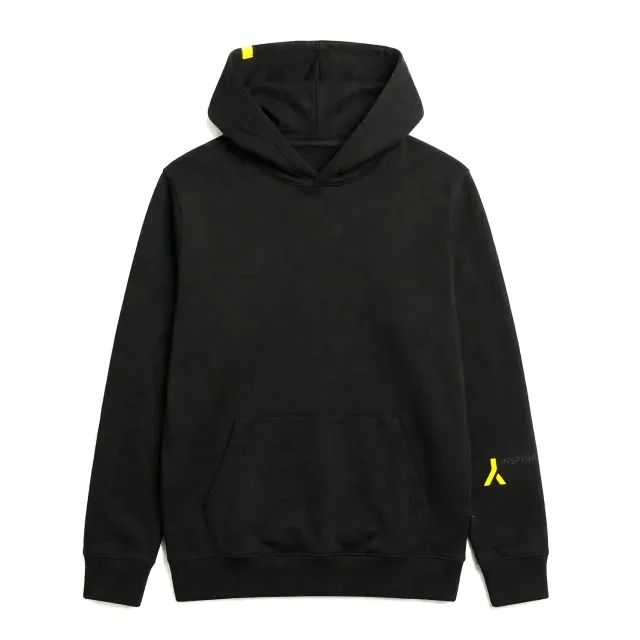 INSPYRATIONS WHY sweat à capuche homme coton bio