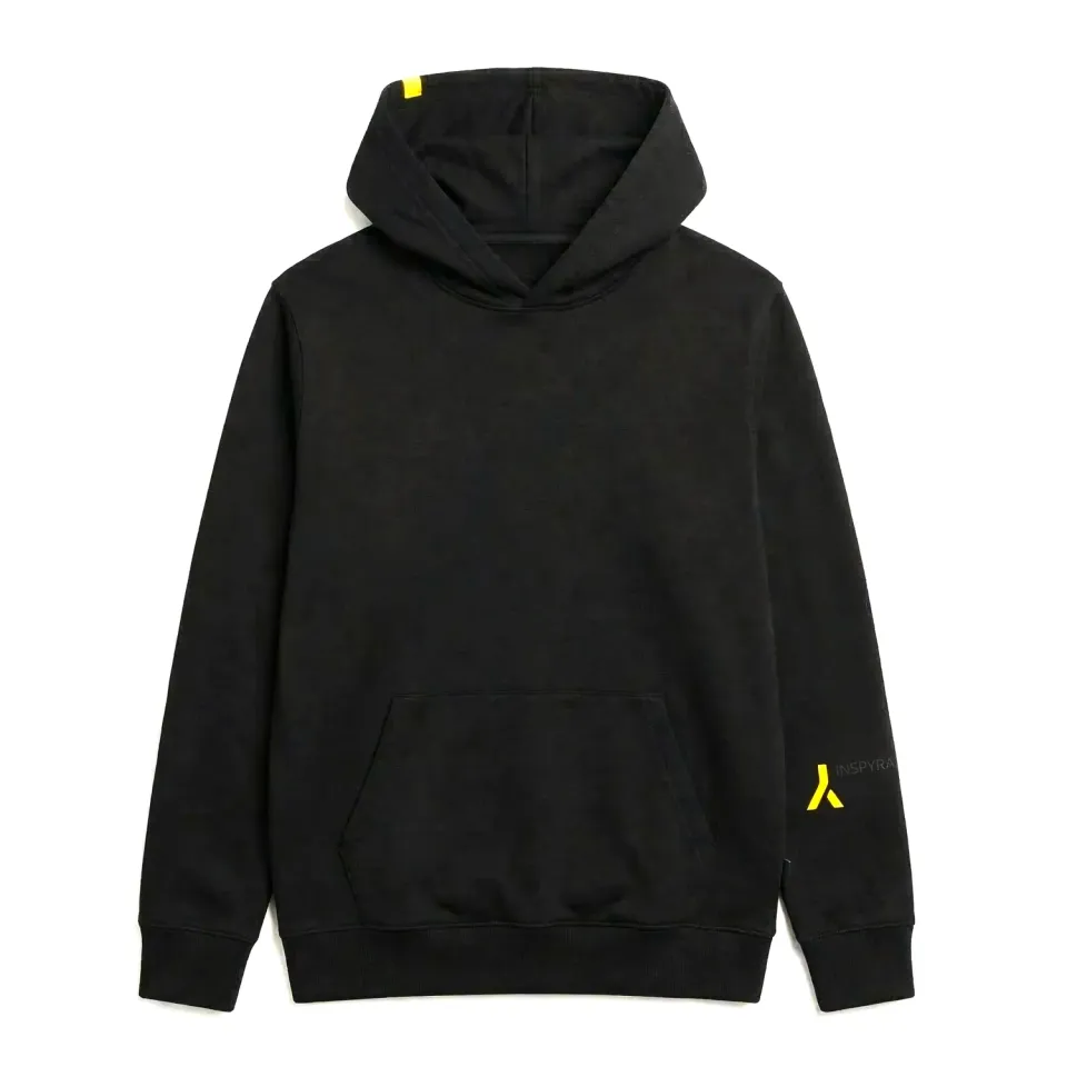 INSPYRATIONS WHY sweat à capuche homme coton bio